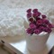 atheer_rose
