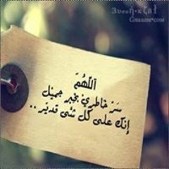 user793298141