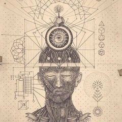 SHAKTL SONNORshak tlow