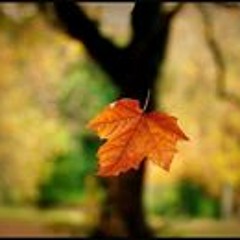Sarwat Rasull