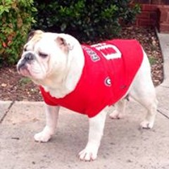 Brandon Anderson 145