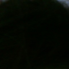 meliciaa