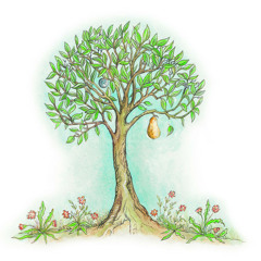Nut Tree Productions