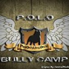 Polo BullyCamp