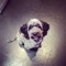 Callum_French