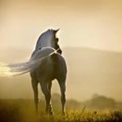 تمنيتك تشوف الجرح الأول - YouTube.MP4