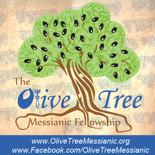 olivetreemessianic.org’s avatar
