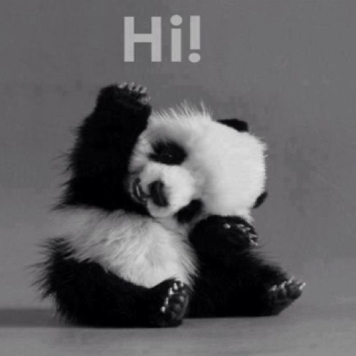 Kolohe Kai - Cool Down