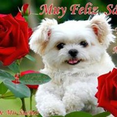 Diana Altagracia Goris