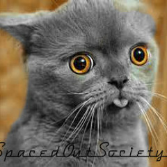 SpacedOutSociety