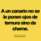 Jose ramon Garcillan