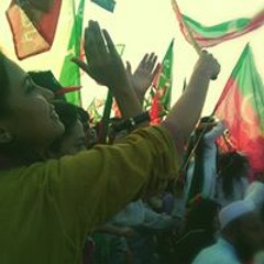 Rubah Mubashir