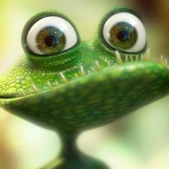 TheCuriousToad