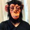 Wasted Monkeys