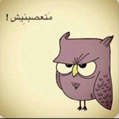 الحلي