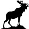 MOose