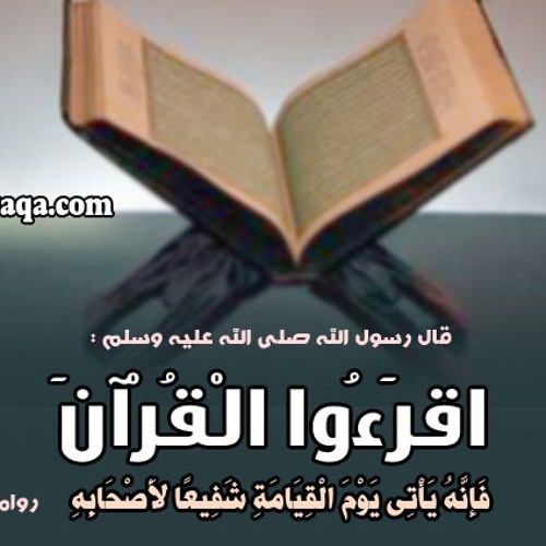 مشكلة العودة إلى الذنب بعد التوبة منه فضيلة الشيخ د. عبد الله بن عبد الرحيم البخاري حفظه الله تعالى