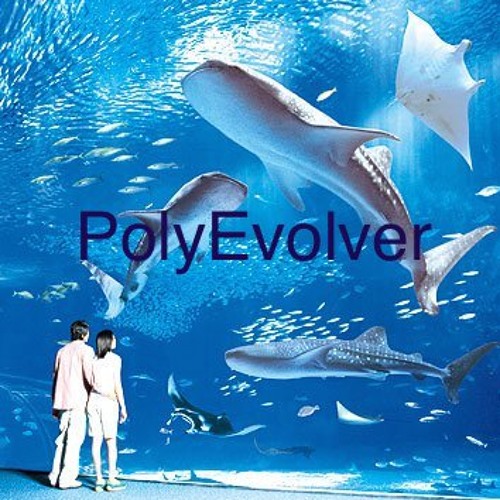 PolyEvolver’s avatar