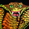 Cobra6669