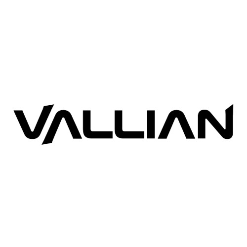 Vallian official’s avatar