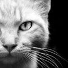 Soùf Đésàstrë Øvèr'Đǿsè