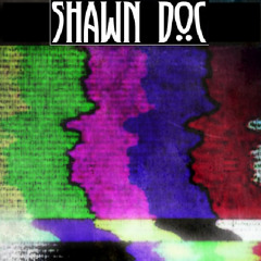ShawnDocArt