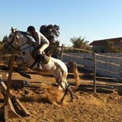 yassin_el_tawil