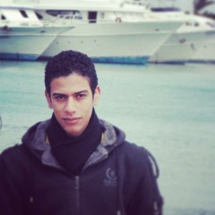 Mohamed EL-Masry