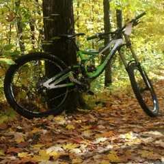 ferlin44