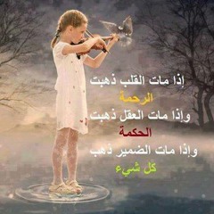 ahmedfawzysallam