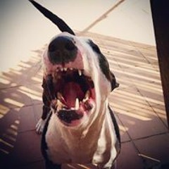 Edgar Vizcaino Prieto