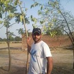 Nohas