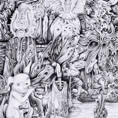 Experimental Society