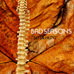 Bad Seasons