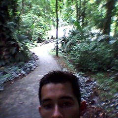 Felipe Luis J