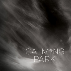 CALMINGPARKMIXES