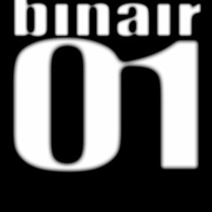 binair01