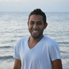 Walid Hassan