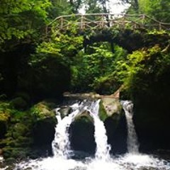 Anita van der Most-Lodonk