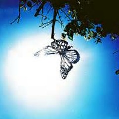 cloud9butterfly