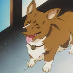 ⁄m(⁄⁄•⁄-⁄•⁄⁄)⁄y