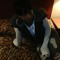 foolboy-ent