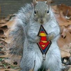 Rebecca Kolb Pierson