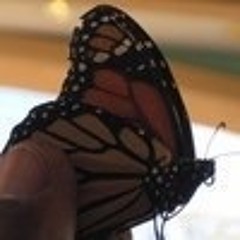 Follow me i follow u back