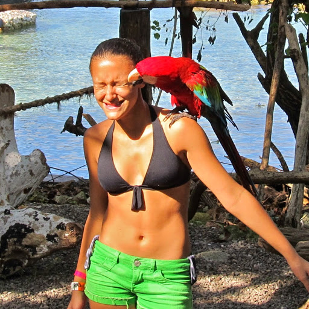 Stream tooquteforyou music | Listen to songs, albums, playlists for free on  SoundCloud