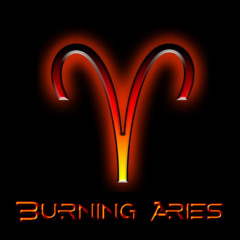 Burning Aries Productions