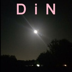 DiN