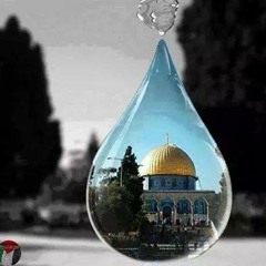 Nour Hayaty 4