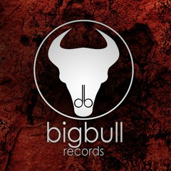 BIG BULL RECORDS