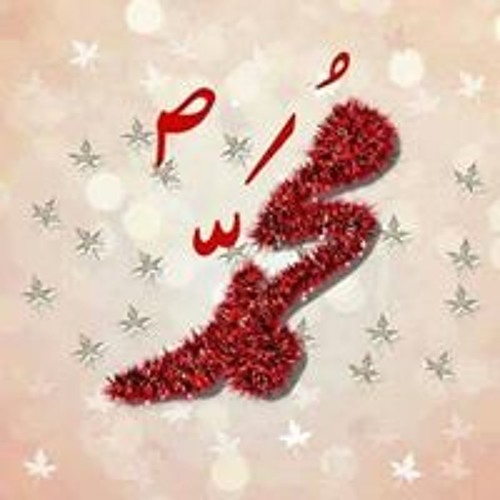 Zainab Tauseef’s avatar